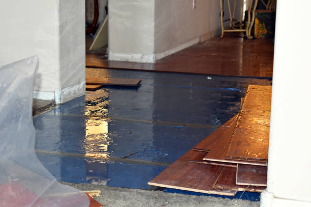 Professional Basement Flood Cleanup technician working in Mechanicsburg, PA